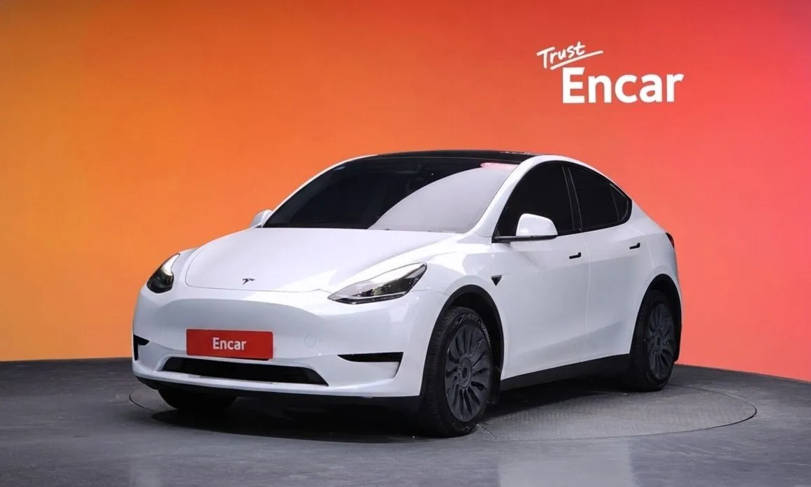 Tesla Model Y — фото 1