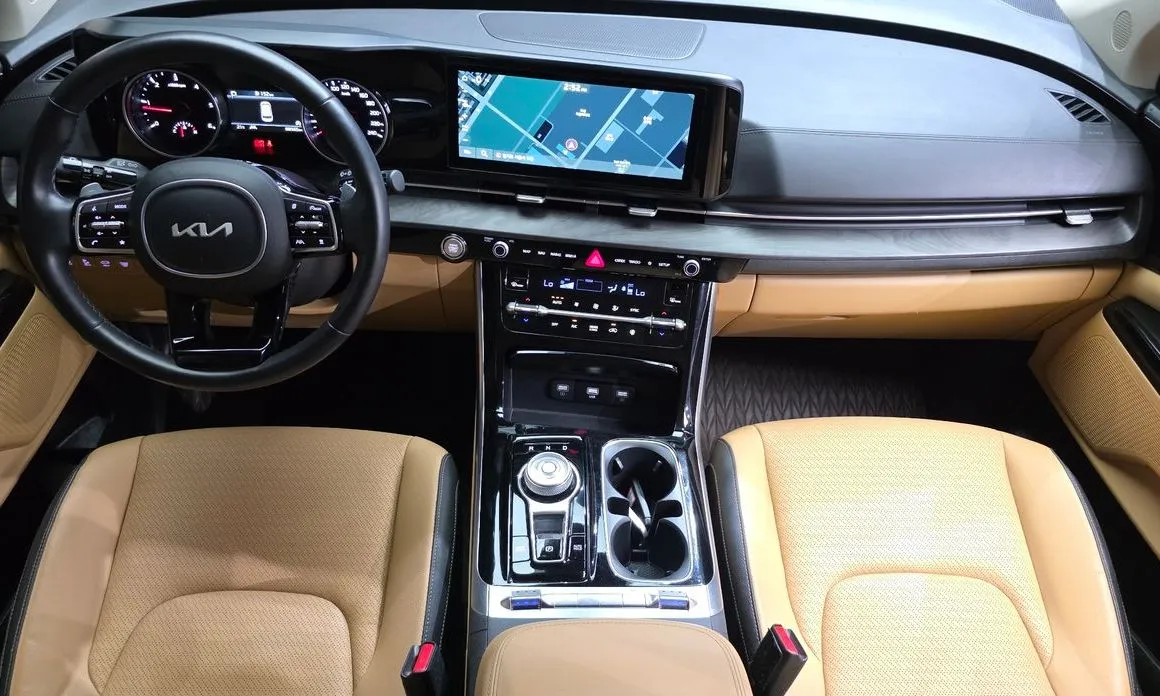 Kia Carnival — фото 10