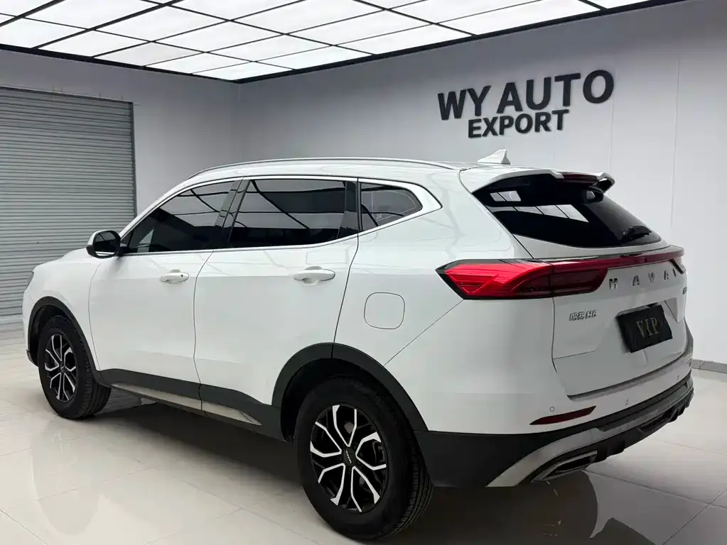 Haval H6 — фото 9