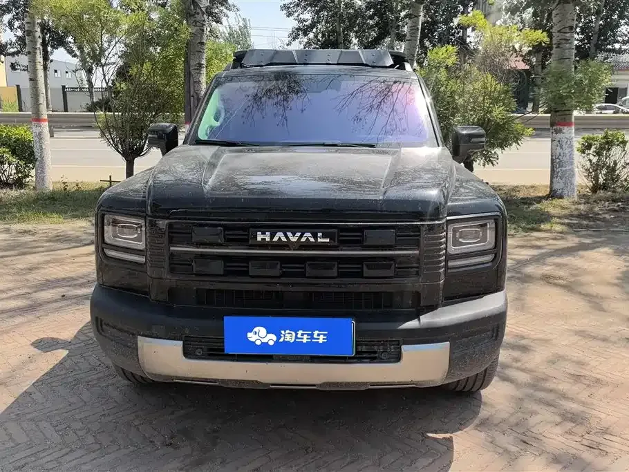 Haval Menglong New Energy — фото 10