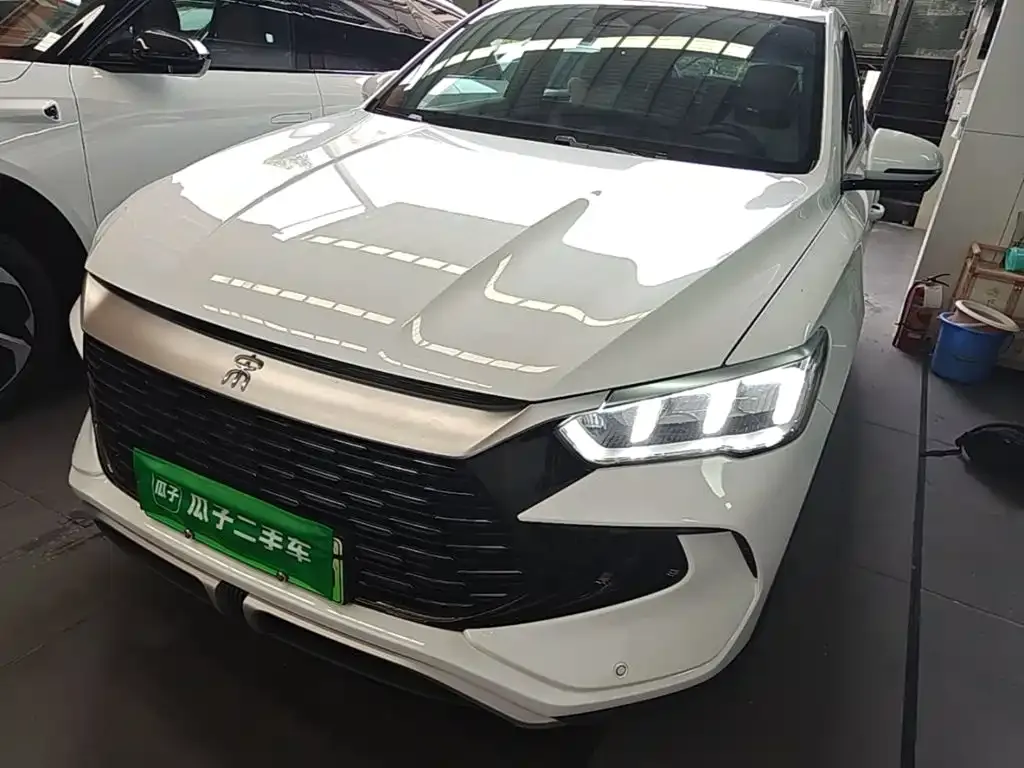 BYD Pro New Energy — фото 1