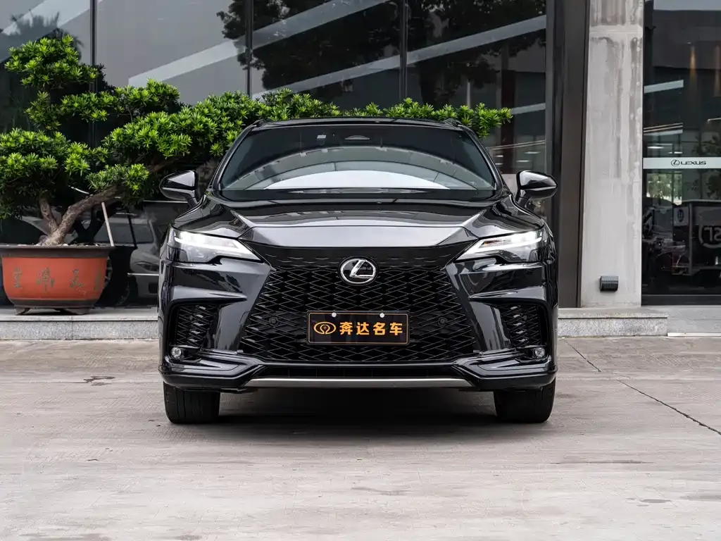 Lexus RX — фото 10