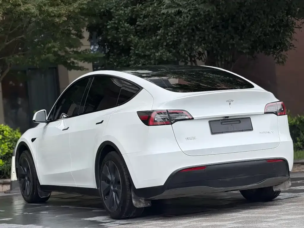 Tesla Model Y — фото 5
