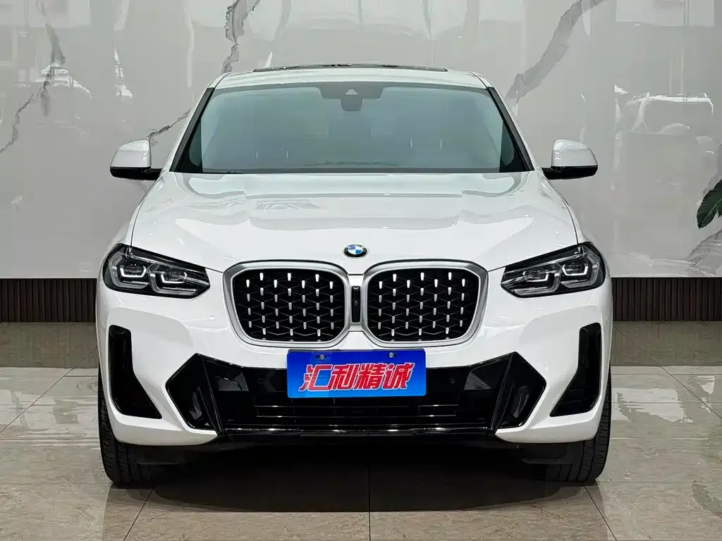 BMW X4 — фото 8