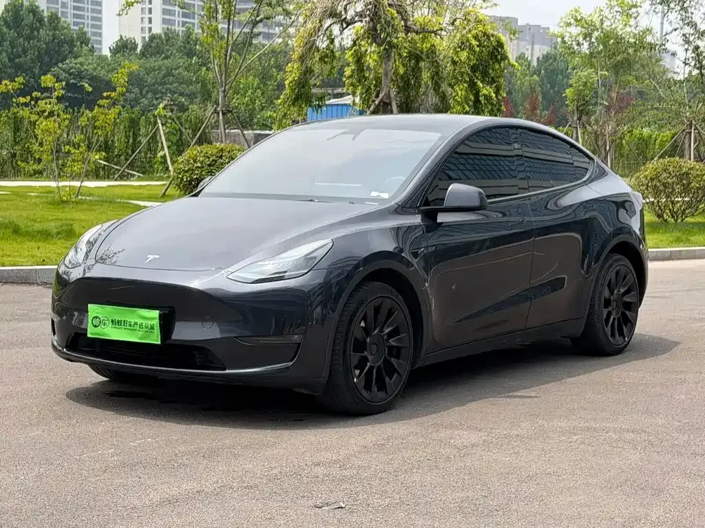 Tesla Model Y — фото 1