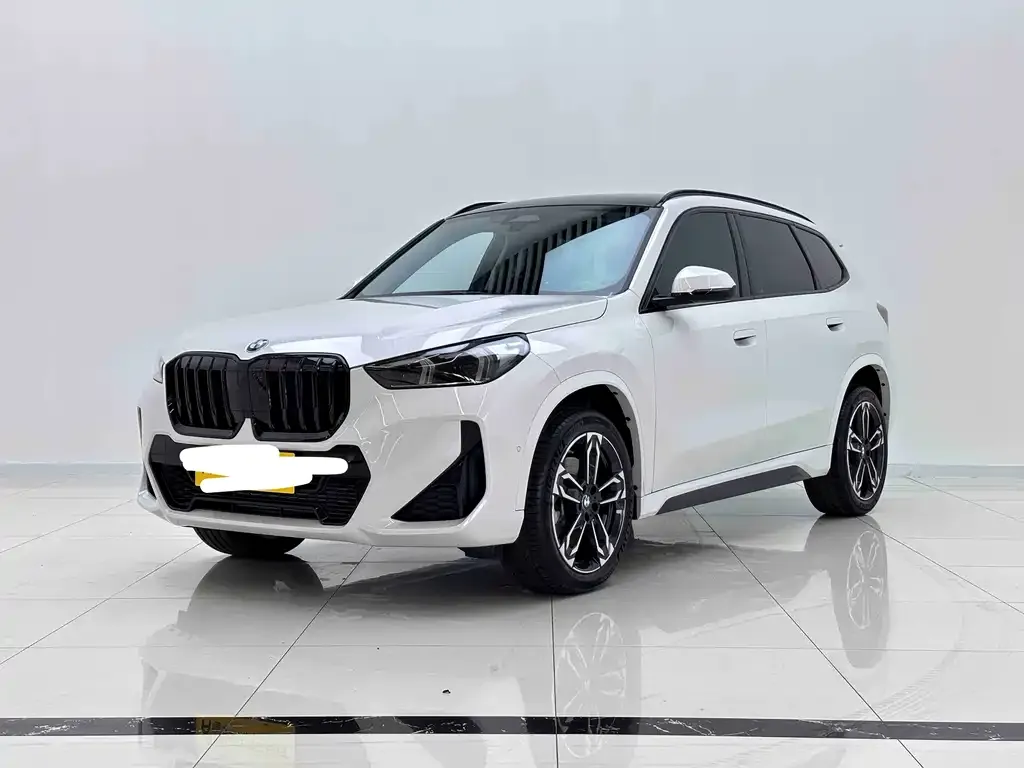 BMW X1 — фото 1