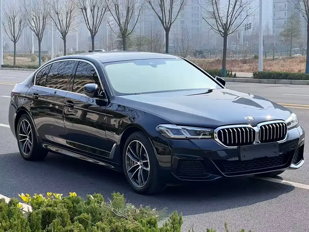 BMW 5 Series New Energy — фото 7
