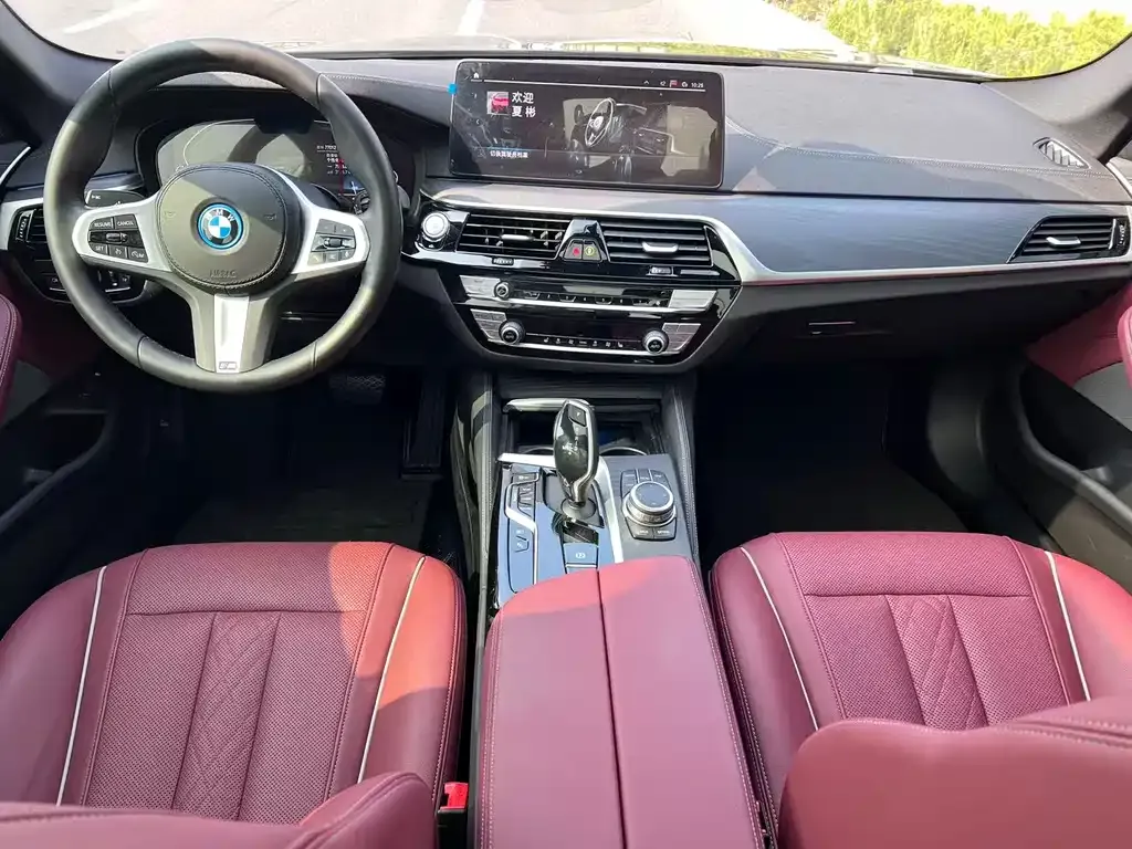 BMW 5 Series New Energy — фото 8