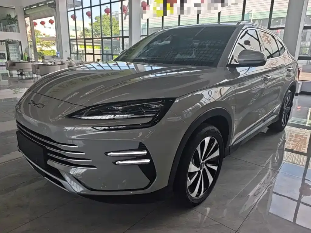 BYD PLUS New Energy — фото 4