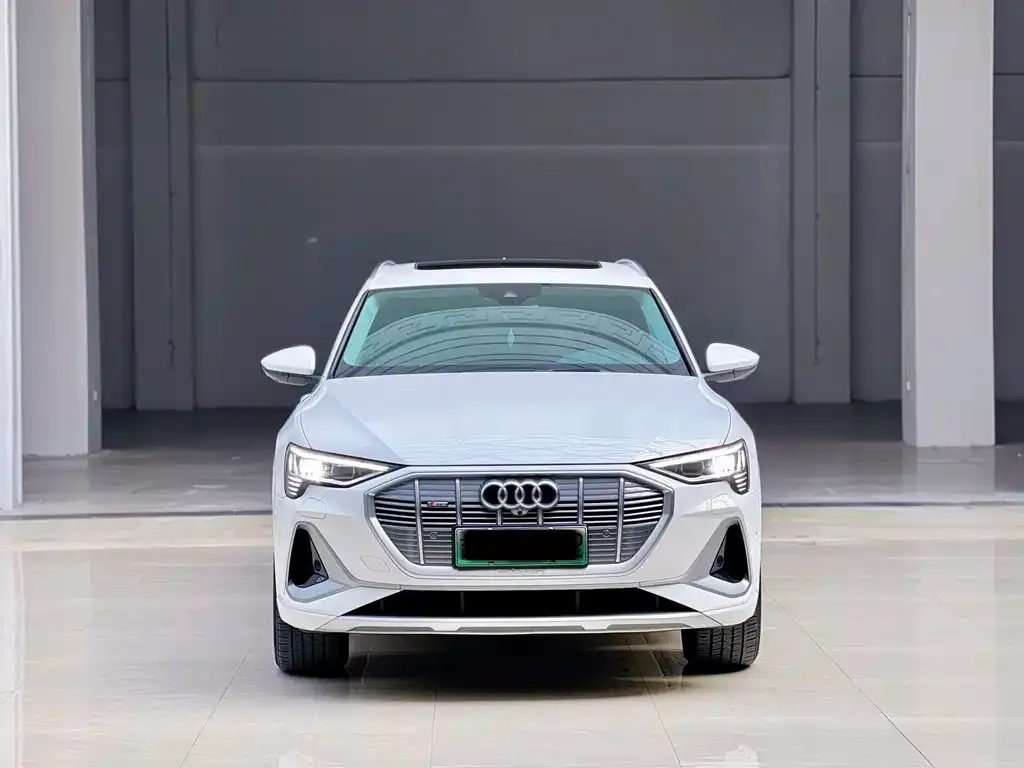 Audi e-tron — фото 2