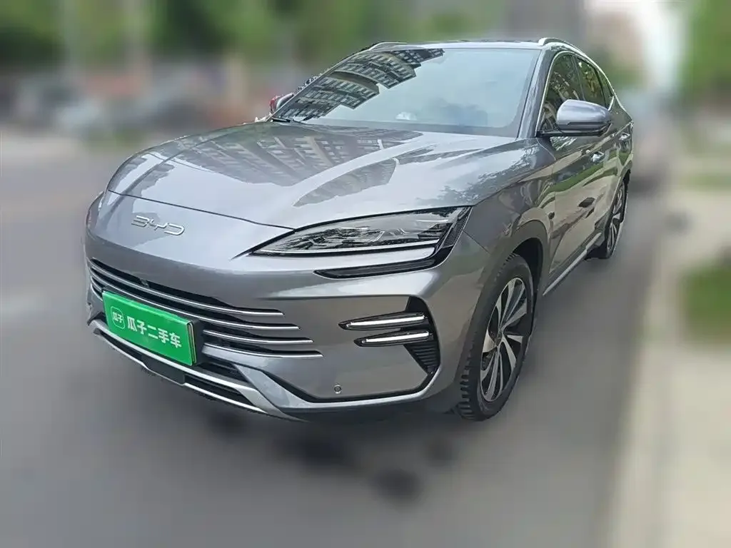 BYD PLUS New Energy — фото 1