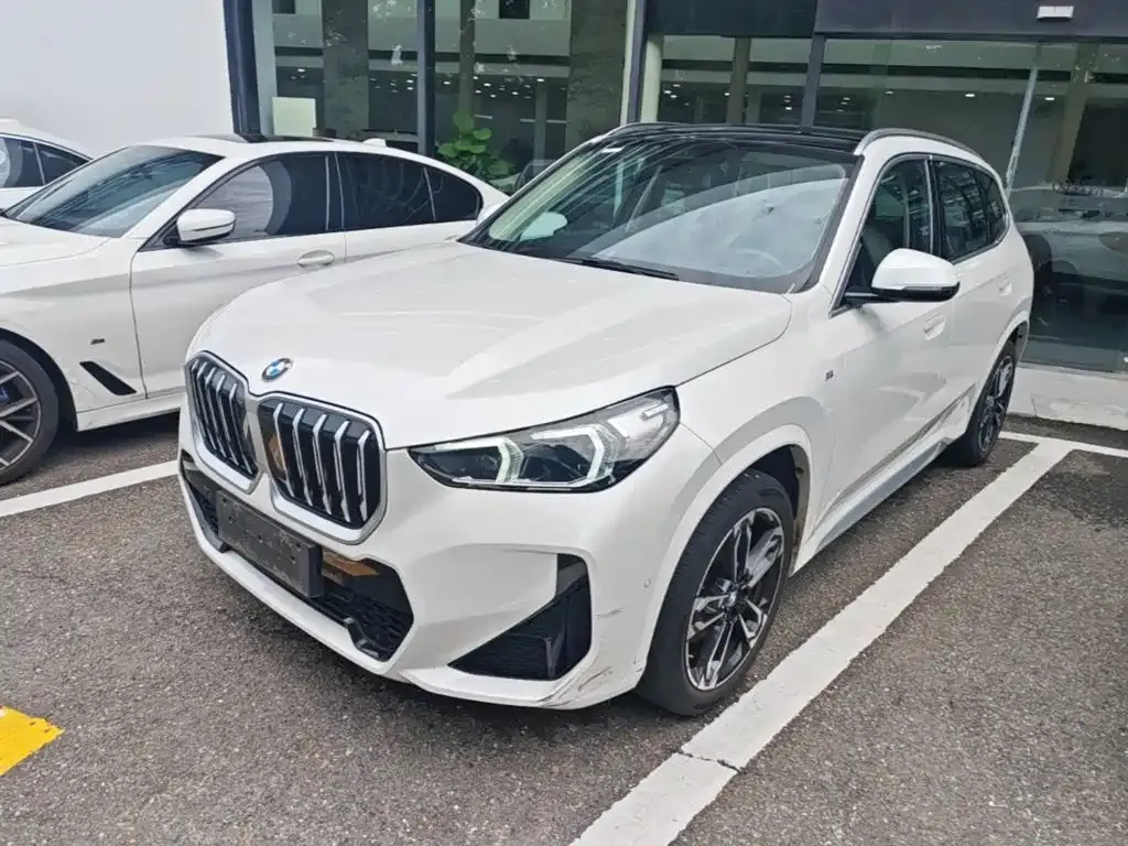 BMW X1 — фото 1