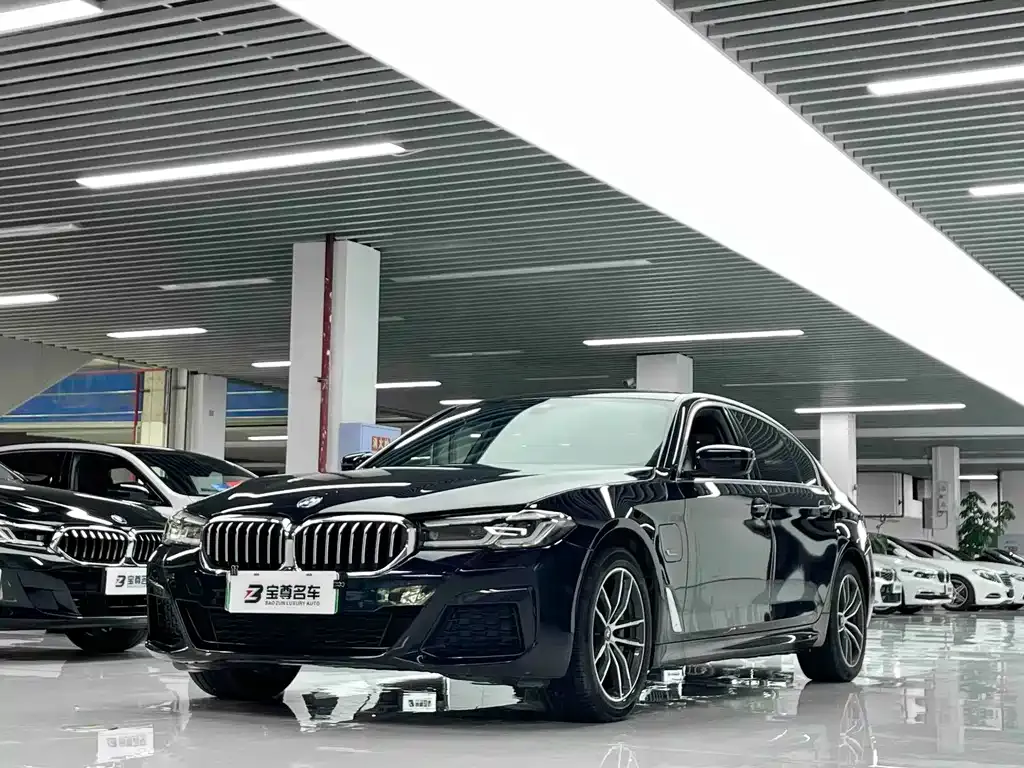 BMW 5 Series New Energy — фото 1