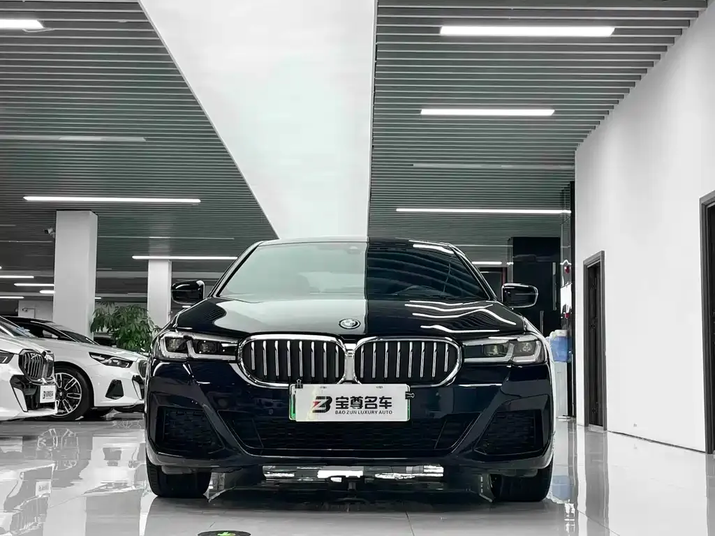 BMW 5 Series New Energy — фото 5