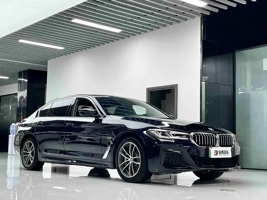 BMW 5 Series New Energy — фото 6