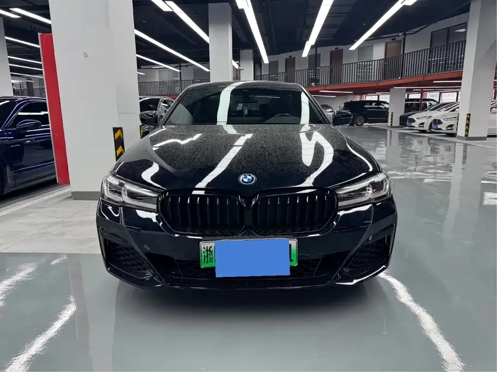 BMW 5 Series New Energy — фото 8
