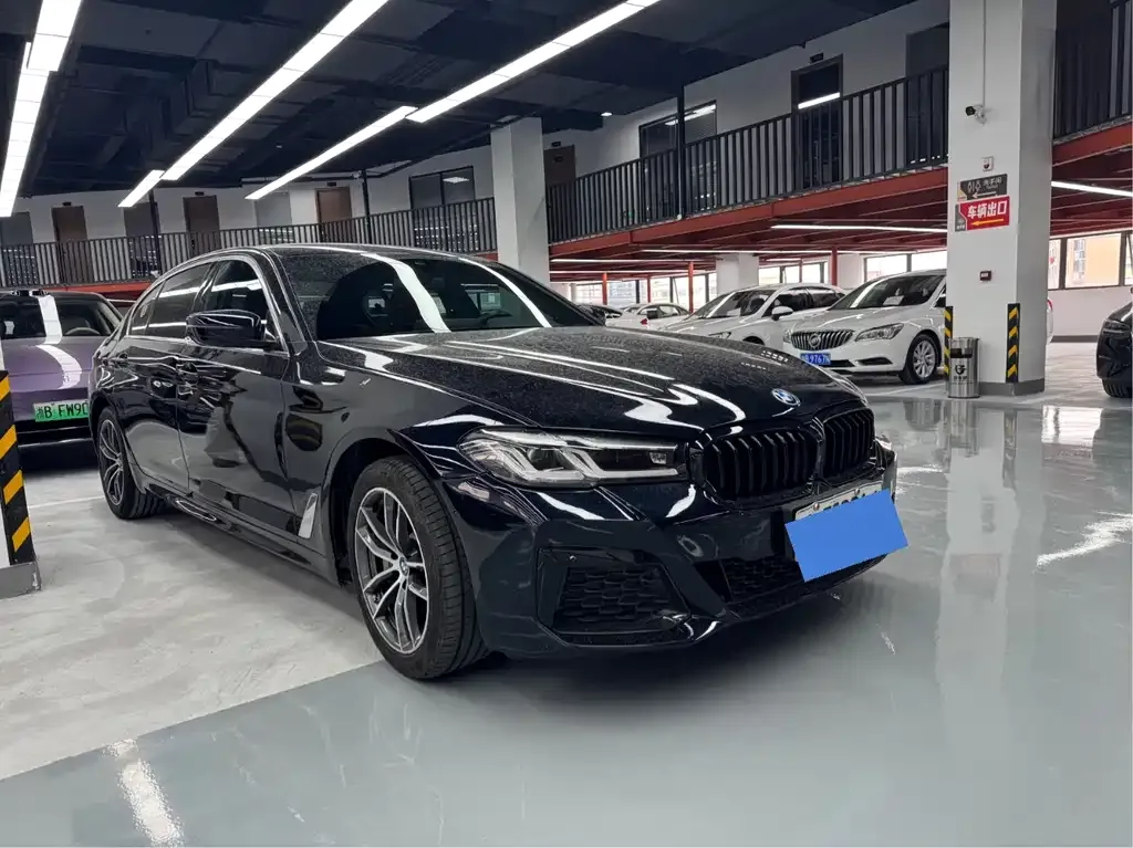 BMW 5 Series New Energy — фото 9