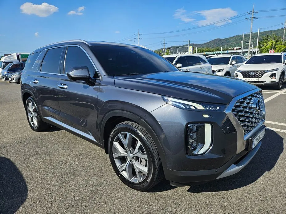 Hyundai Palisade — фото 1