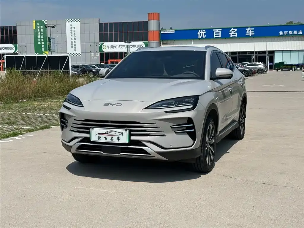 BYD PLUS New Energy — фото 1