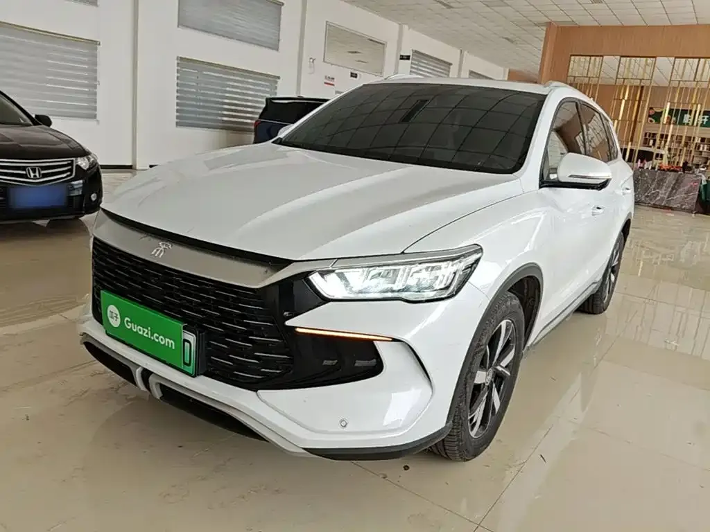 BYD Pro New Energy — фото 9