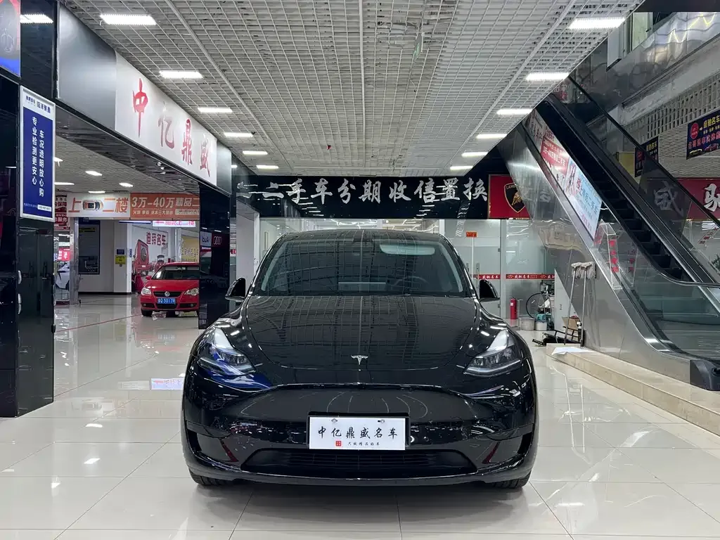 Tesla Model Y — фото 8
