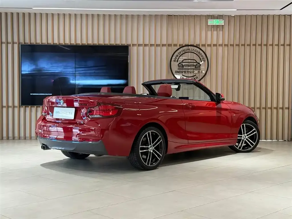 BMW 2 Series (Import) — фото 6