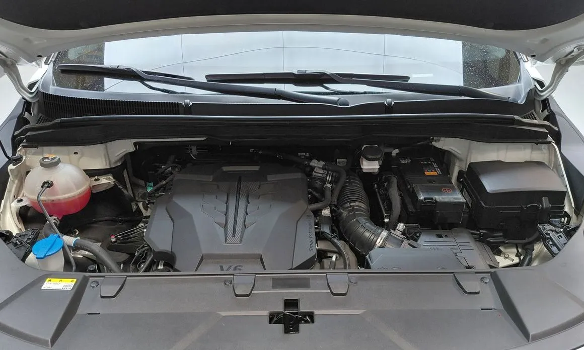 Kia Carnival — фото 10