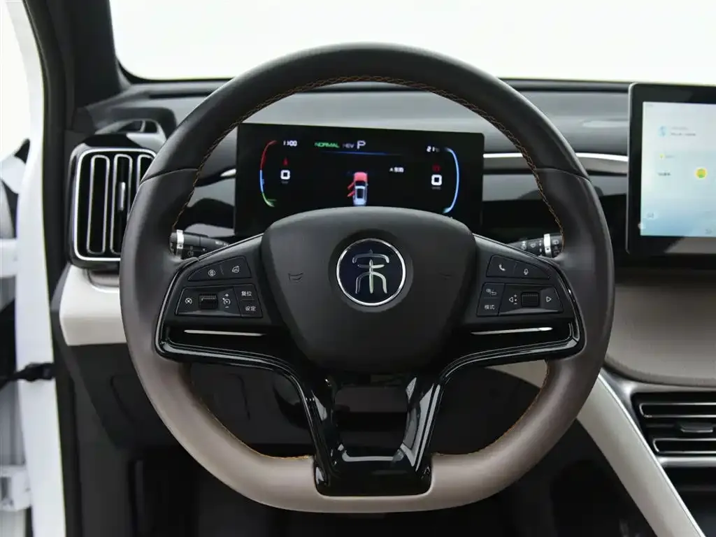 BYD Pro New Energy — фото 9