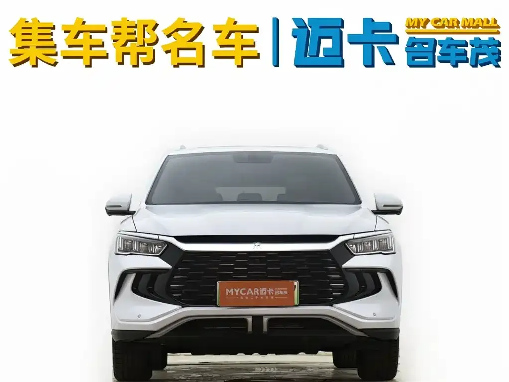 BYD Pro New Energy — фото 3