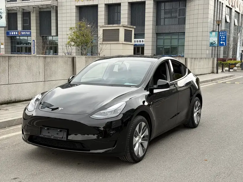 Tesla Model Y — фото 1