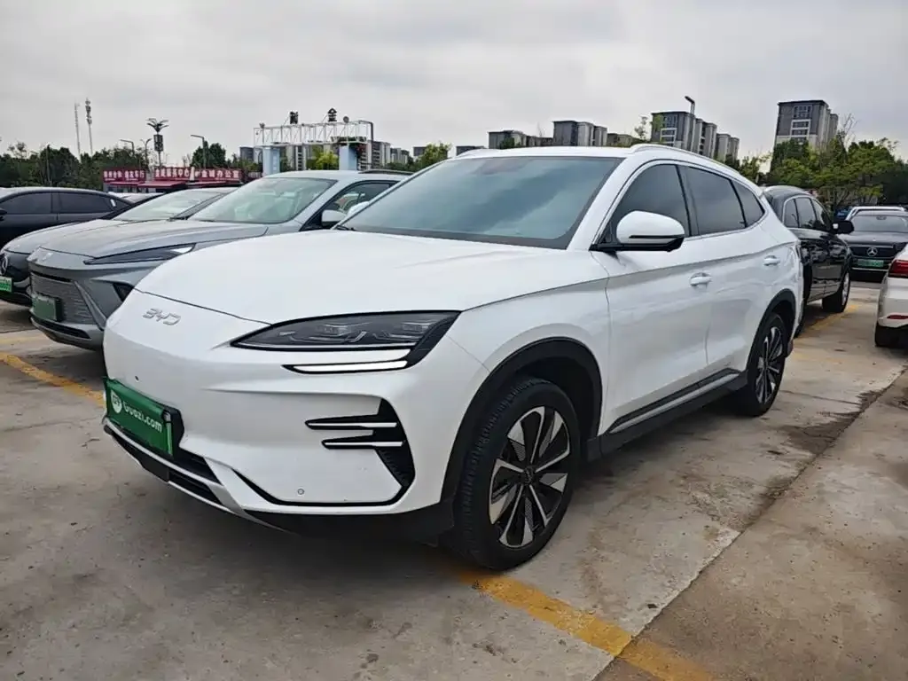 BYD PLUS New Energy — фото 5