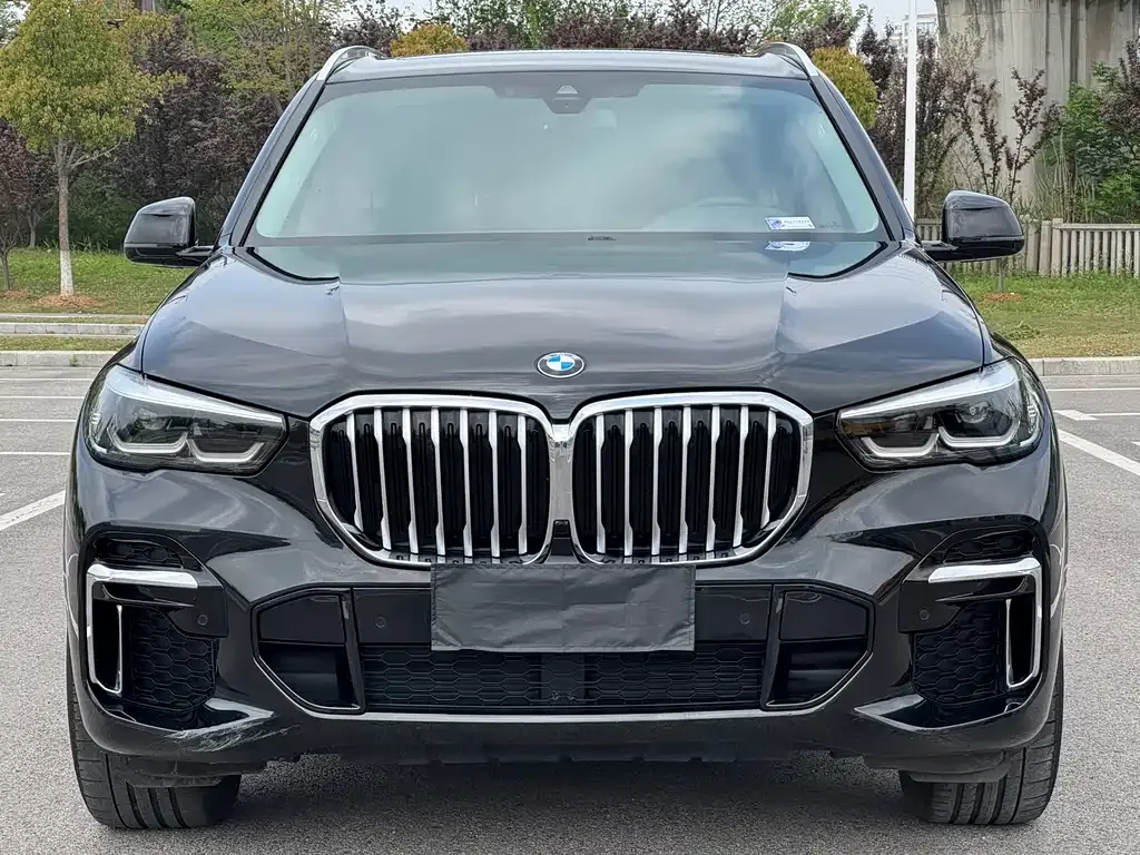 BMW X5 — фото 8