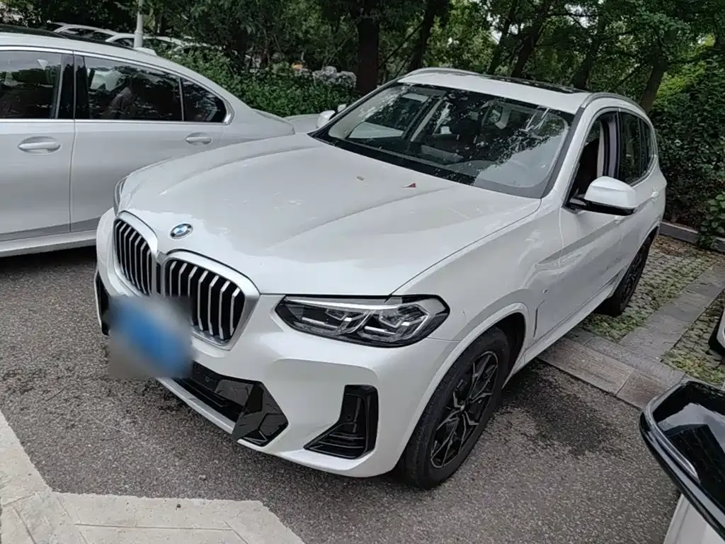 BMW X3 — фото 1