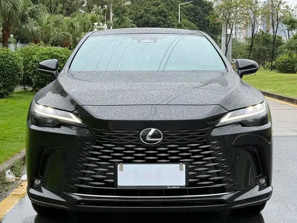 Lexus RX — фото 8