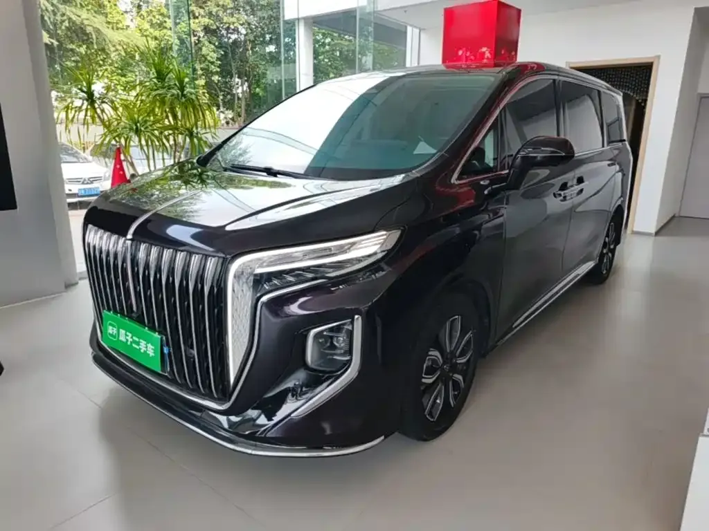 Hongqi HQ9 — фото 6