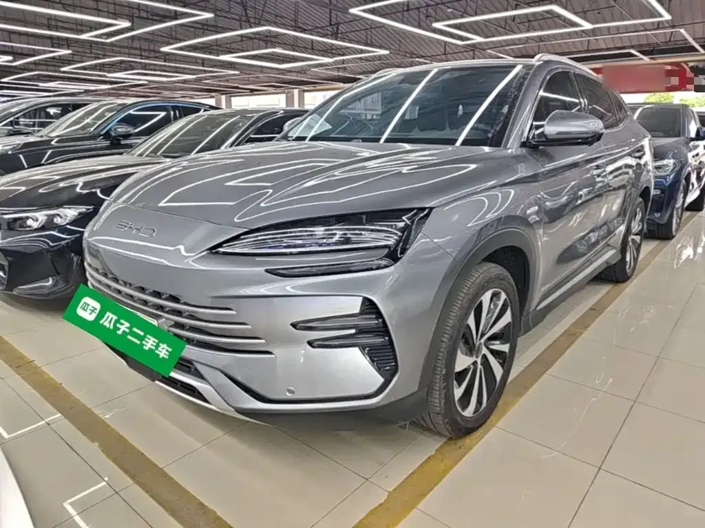 BYD PLUS New Energy — фото 6