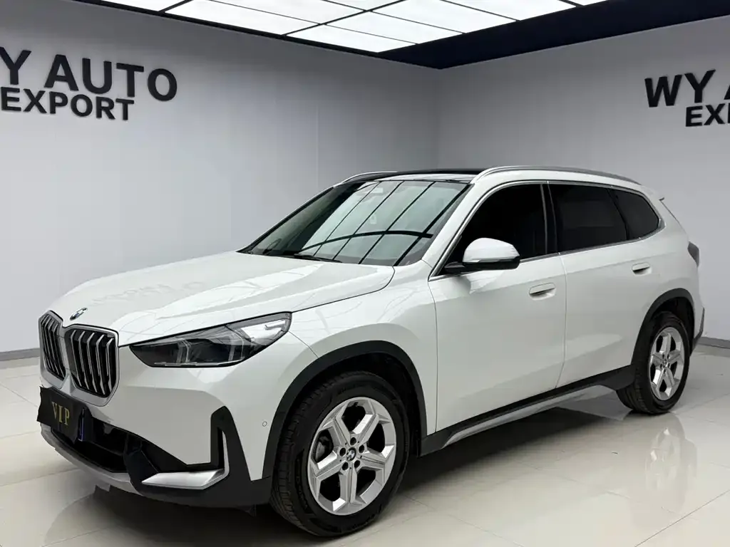 BMW X1 — фото 1