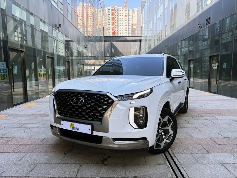 Hyundai Palisade — фото 1
