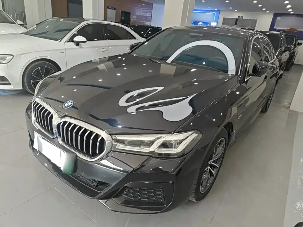 BMW 5 Series New Energy — фото 5