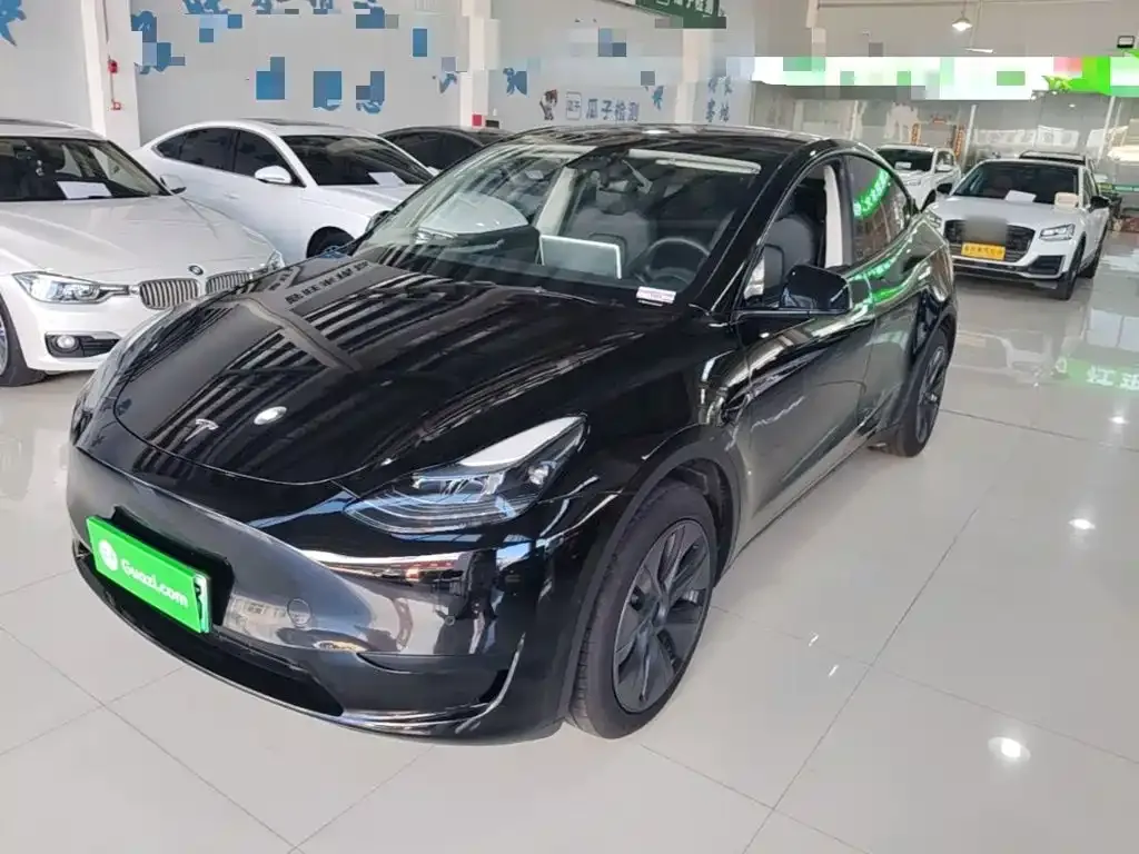Tesla Model Y — фото 1