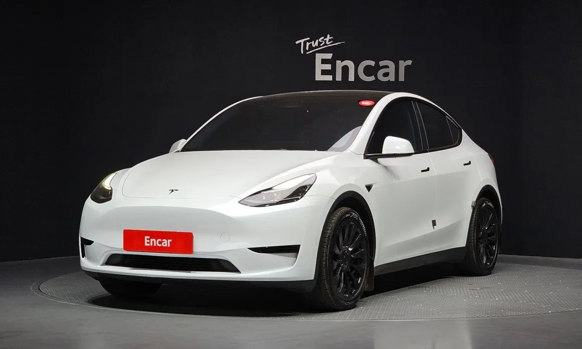Tesla Model Y — фото 1