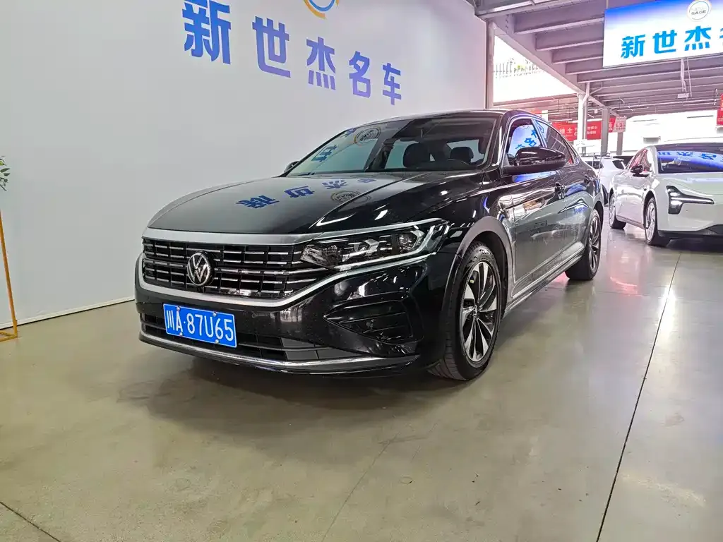 Volkswagen Passat — фото 1