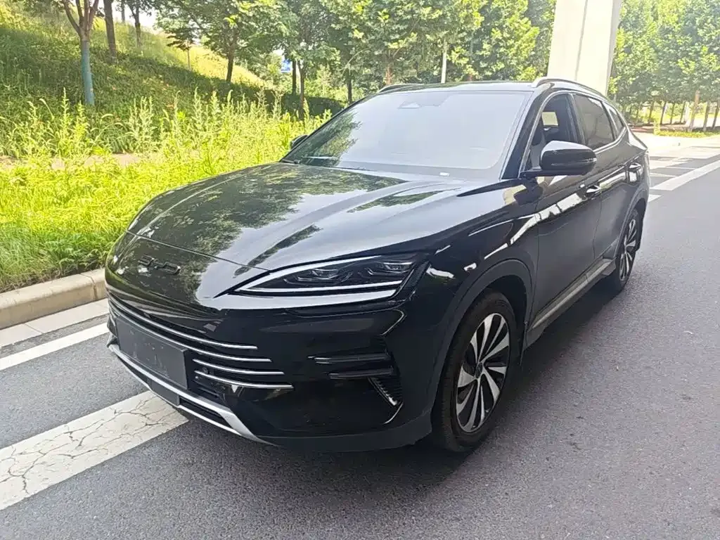 BYD PLUS New Energy — фото 1