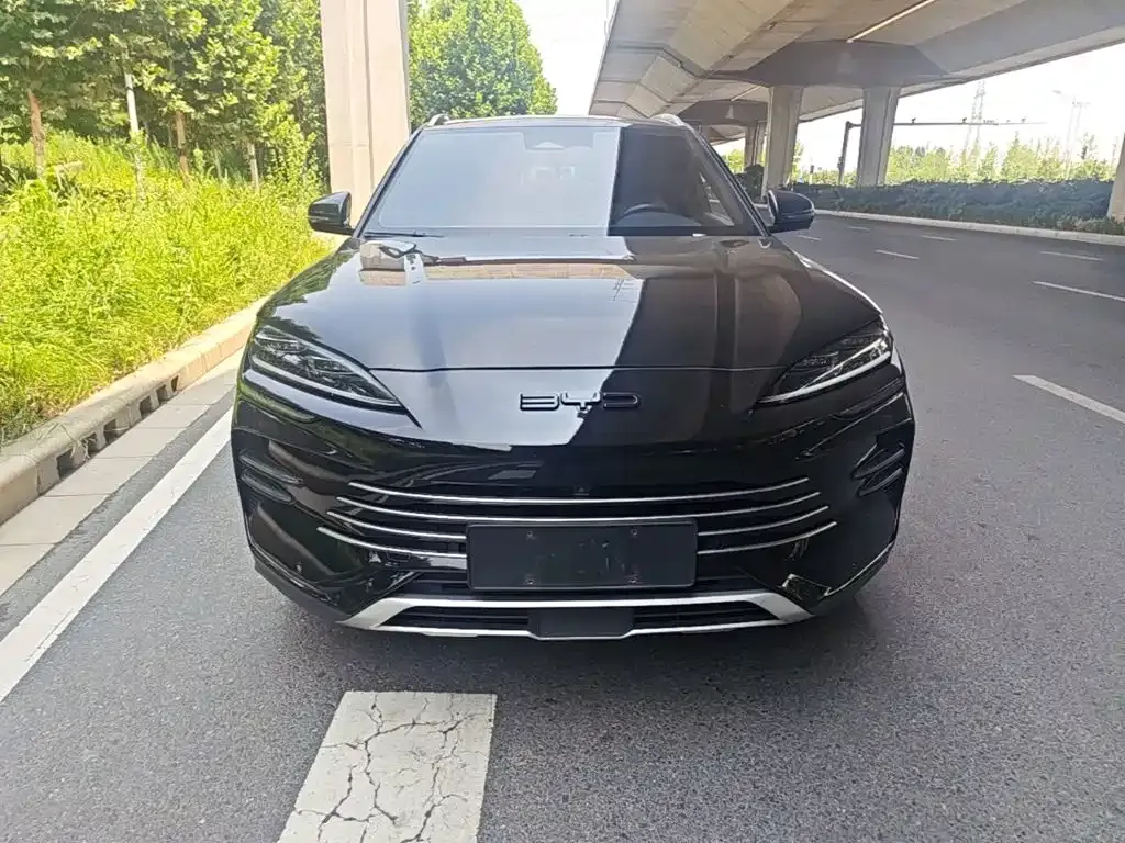 BYD PLUS New Energy — фото 6