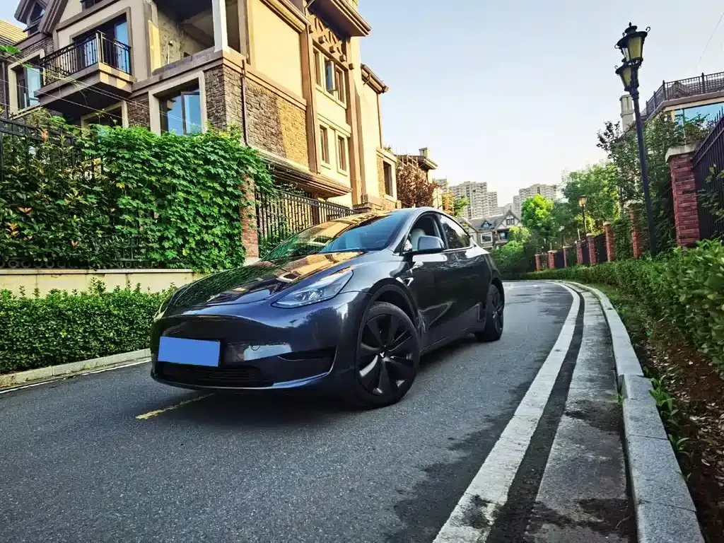 Tesla Model Y — фото 1