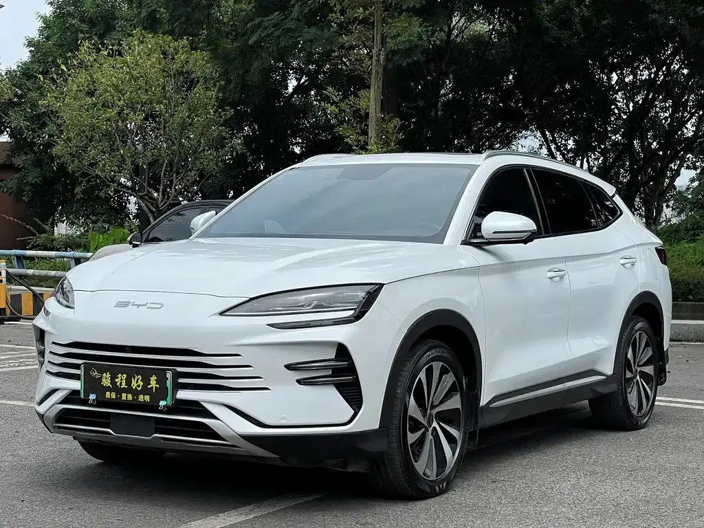 BYD PLUS New Energy — фото 1