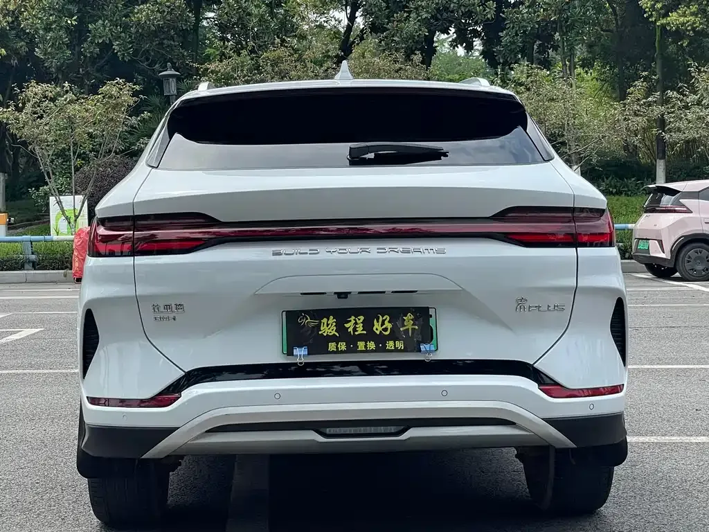 BYD PLUS New Energy — фото 8