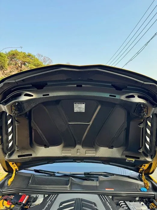 Lamborghini Urus — фото 4