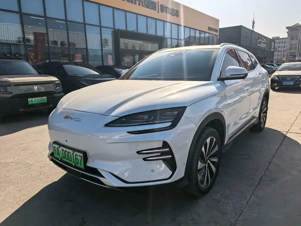 BYD PLUS New Energy — фото 1