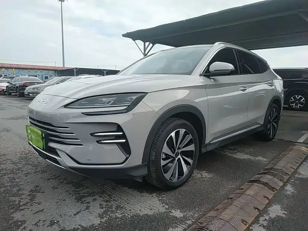 BYD PLUS New Energy — фото 1